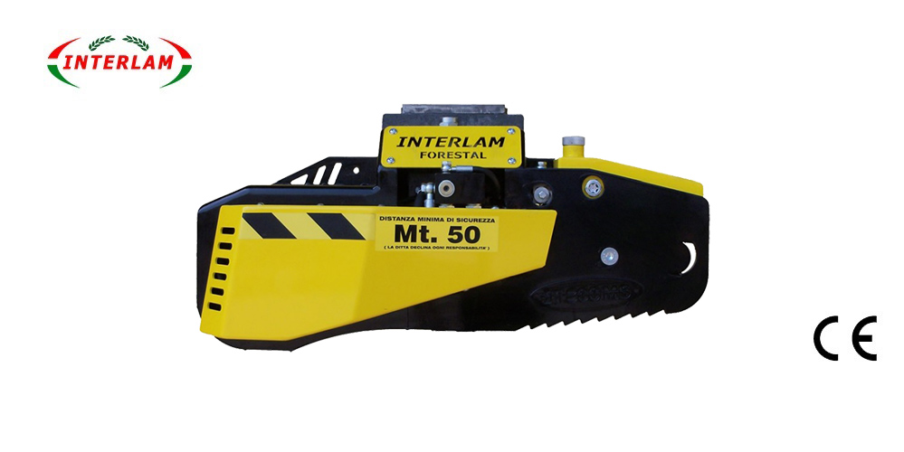 Immagine IT800MS
